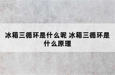 冰箱三循环是什么呢 冰箱三循环是什么原理